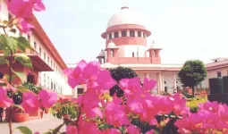 સરકારી નોકરીઓમાં જનરલ કેટેગરીની બેઠકો પર SC/ST/OBCનો પણ અધિકાર! સુપ્રીમ કોર્ટે 'ડબલ બેનિફિટ'ની દલીલ ફગાવી