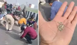 ચાંદીના નામ પર હાપુરના લોકો આ શું લૂંટી ગયા? હાઇવે પર ટ્રક પલટી ગઈ