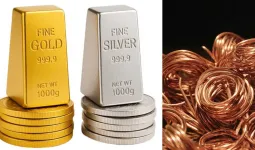 સોનું-ચાંદી નહીં, બમણી થવાની છે આ ધાતુ... રોબર્ટ ફ્રિડલેન્ડે સમજાવ્યું ગણિત