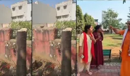 ઝાડની આડમાં યુગલો બેસતા હતા, પાર્કના વૃક્ષો જ કાપી નાખ્યા, મહિલાઓએ કર્યો વિરોધ