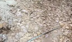 પોરબંદરમાં જૂની કોર્ટમાં હજારો ચૂંટણી-આધાર કાર્ડ રઝળતા મળી આવ્યા, અધિકારી જણાવ્યું કારણ