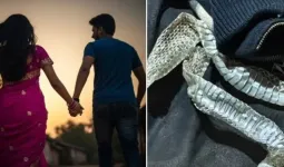નાગીન બનવાની અફવા ફેલાવી પ્રેમી સાથે ભાગી, બેડ પર છોડી ગઈ સાંપની ચામડી, બંગડીઓ અને સિંદૂર