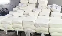 સુરતમાં 1400 કિલો નકલી પનીર પકડાયું, પામ ઓઈલ, કેમિકલથી બનાવતા, કેવી રીતે ઓળખવું?