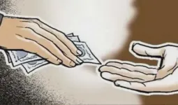 ભેળસેળ અને ભ્રષ્ટાચાર ભેગા મળીને ગુજરાતને બરબાદ કરવા બેઠા