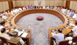 સરકાર દેશની કંપનીઓને વિદેશમાં મોટી કરે, લાભ આપે એમાં કશું ખોટું નથી