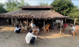 છેવાડાના આદિવાસી ગામડાઓ: વિકાસના દીવા તળે અંધારું જ્યાં દીવો પ્રગટાવવો જરૂરી છે