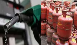 યુદ્ધના કારણે થયેલી ગેસની અછત વચ્ચે કેન્દ્ર સરકારે ECA લાગુ કર્યો... સમજો તેનો અર્થ શું થાય છે