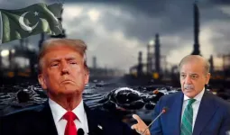 જેના વખાણ કરતા ટ્રમ્પ થાકતા નહોતા તે પાકિસ્તાનનો 'તેલ ભંડાર' ક્યાં ગયો? પેટ્રોલ 336 પાકિસ્તાની રૂપિયા પ્રતિ લીટરે વેચાઈ રહ્યું છે