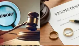 ઘણીવાર ભરણપોષણની રકમ મેળવવા પત્નીઓ પતિની આવક વધારીને બતાવે છે; શા માટે કોર્ટે આવું કહ્યું