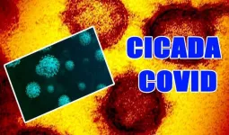 કોરોનાનું નવું વેરિયન્ટ 'Cicada' આવ્યું, 23 દેશોમાં કેસ જોવા મળ્યા