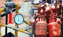 LPGનો જથ્થો છે, તો પણ સરકાર PNGમાં કનેક્શન લેવાનું કેમ કહે છે? આ રહ્યા તેના કારણો