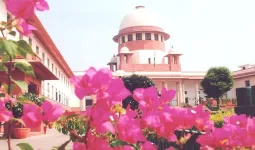 પત્ની છે, નોકરાણી નહીં... રસોઈ બનાવવા, કપડા ધોવામાં પણ મદદ કરો; છૂટાછેડા માંગતા પતિને સુપ્રીમ કોર્ટનો ઠપકો