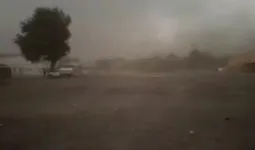 ભરઉનાળે કમોસમી વરસાદનો માર, જગતના તાતના હાથમાં આવેલો કોળિયો છીનવાયો