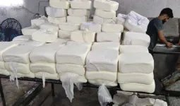 સુરતમાં 1400 કિલો નકલી પનીર પકડાયું, પણ કશું થવાનું નથી