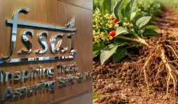 અશ્વગંધાના પાંદડા પર FSSAIએ પ્રતિબંધ શા માટે લગાવ્યો? તેના મૂળિયા ખાવાના ફાયદા અને આડઅસરો વિશે જાણો