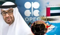 UAE OPECમાંથી બહાર નીકળી ગયું, આનાથી ભારતને ફાયદો જ ફાયદો!