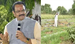 ગુજરાત સરકારે ટુકડાધારા કાયદામાં સુધારા માટે વટહુકમ બહાર પાડ્યો, હવે 20ને બદલે 10 ગુંઠા જમીનનું જ ખરીદ-વેચાણ કરી શકાશે