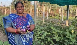 રસોડાથી ખેતર સુધી અદાણી ફાઉન્ડેશનની મદદથી કૈલાશબેનની પ્રાકૃતિક ખેતીમાં સફળતાની ગાથા