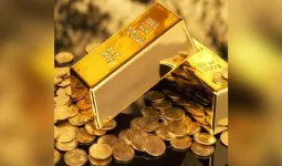 દુનિયાના આ બે નાના દેશો ખરીદી રહ્યા છે મોટા પ્રમાણમાં સોનું? 