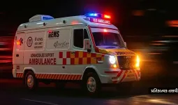 ન પેટ્રોલ, ન વીજળી... છતા ચાલશે ગાડી! આવી ગઈ વિશ્વની પ્રથમ સૌર એમ્બ્યુલન્સ 'સ્ટેલા જુવા'