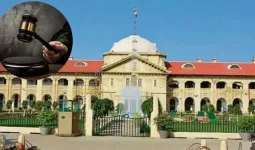 ગમે એમ પૈસા માંગતા કિન્નરો પર હાઇ કોર્ટ ગુસ્સે, કહ્યું તેમને 'ખુશીના પ્રસંગે' પૈસા માંગવાનો કોઈ અધિકાર નથી