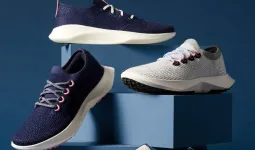 જૂતા બનાવતી કંપનીએ ધંધો બદલવાની જાહેરાત કરી અને તેના શેરમાં 700 ગણો વધારો આવ્યો