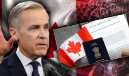 જેના કારણે હજારો ભારતીયો પર કેનેડા દેશમાંથી બહાર નીકળવાની તલવાર લટકી છે, તે 'Bill C-12' શું છે?