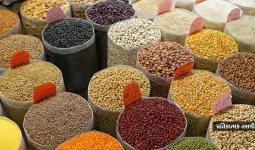 'યુદ્ધ 40 દિવસથી વધુ ચાલ્યું તો...', અર્થશાસ્ત્રીએ આપી વોર્નિંગ- ખાદ્યપદાર્થોના ભાવ 6 મહિનાના ઉચ્ચ સ્તરે પહોંચ્યા