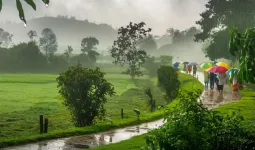 આ તારીખે ભારત પહોંચશે ચોમાસું, હવામાન નિષ્ણાતોએ આ વખતે સમય પહેલા ભારે વરસાદની આગાહી કરી છે
