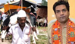 દિલ્હી સરકારે બકરી ઈદની ગાઈડલાઈન જાહેર કરી, ગાય-વાછરડાની કુરબાની પર પ્રતિબંધ અને...