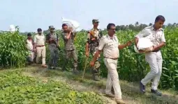 બંગાળમાં TMC નેતાના ફાર્મહાઉસ નજીક જમીનમાંથી મળ્યા 2.24 કરોડ, ગણતરી હજુ ચાલુ છે