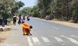 'રોડ પર વેરાઈ ગયું છે સોનું...' ગુજરાતમાં હવાની જેમ ફેલાઈ ગઈ આ વાત; મહિલાઓ અને બાળકો જે હાથમાં આવ્યું તે લઈને દોડ્યા