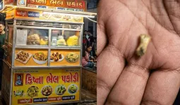 અમદાવાદમાં પાણીપુરીમાંથી પહેલા વાળ નીકળ્યો અને પછી હાડકું, પાછો નફ્ફટાઇથી કહે- ‘લાકડું છે કાપીને બતાવું, કાપ્યું તો...