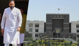 વડોદરાના પ્લોટને લઈને યુસુફ પઠાણને ગુજરાત હાઈકોર્ટે ખખડાવીને કહ્યું- ‘લાંબા સમય સુધી પૈસા આપ્યા વિના જમીન પર કબજો...’