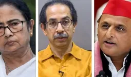 TMC-શિવસેનાની જેમ અખિલેશની પાર્ટીને તોડવી કેમ અઘરી છે? આંકડાઓની રમત સિવાય ઘણું બધું છે!