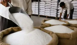 સરકારે જણાવ્યા ખાંડની કિંમત વધવાના કારણો