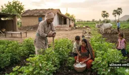 ગુજરાતમાં ખેતીની જમીન કેમ ઘટી રહી છે? છેલ્લા 5 વર્ષનો આંકડો જાણીને ચોંકી જશો