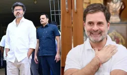 2029મા PM તરીકે વિપક્ષમાંથી કોણ? રાહુલ ગાંધી કે થલાપતિ વિજય... કોંગ્રેસ અને TVK નેતાઓ બાખડ્યા