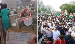 ‘જુઠ્ઠાણું ફેલાવી ફેલાવીને થાકી ગયો છું...’, રાહુલ ગાંધીની વિયેતનામ યાત્રા પર ભાજપનો કટાક્ષ; કોંગ્રેસે કર્યો વળતો પ્રહાર