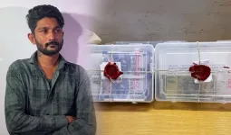 ઈન્સ્ટા પર રીલ જોઈને ટેલિગ્રામ પર નકલી નોટો છાપતા શીખ્યો, મેળામાં પૈસા ઉડાવ્યા, એક ભૂલથી ઝડપાયો