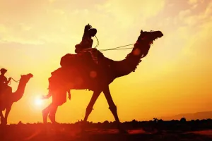 એક ટૂંકી મુસાફરી