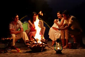 શું લાગે છે, બોસ?