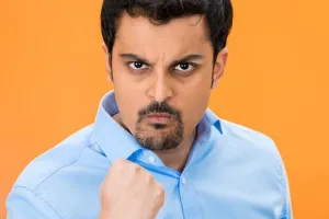 અમે હોંશીલા રે...