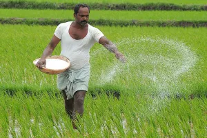 ખેડૂતોની આવક બમણી કરવા સરકારે બનાવ્યો આ પ્લાન