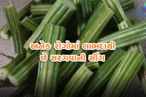VIDEO: જૂઓ 300 રોગોનો એક માત્ર ઉપચાર