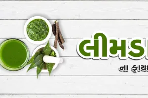 VIDEO: ચામડીના રોગોમાં અકસીર છે લીમડો