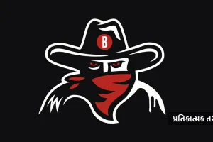 વડોદરામાં અડધી રાત્રે આવ્યા ધાડપાડુઓ, લોકોને માર મારીને ચલાવી લૂંટ