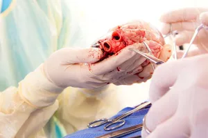 ગુજરાતમાં અંગદાન અને પ્રત્યારોપણની પ્રક્રિયા બનશે ઝડપી, 'સોટો'ને મળી મંજૂરી