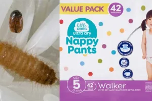 આ દેશમાં બેબી ડાયપરમાં પહોંચ્યો ભારતીય કીડો, જે દેશના 18 બિલિયન ડૉલરના અનાજ માટે છે જોખમી!