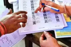 BLO કે જે SIRના કામથી કંટાળી ગયા છે, તેમની પાસે કેટલું કામ છે? જાણો તેમને દર મહિને કેટલા પૈસા વધારાના મળે છે